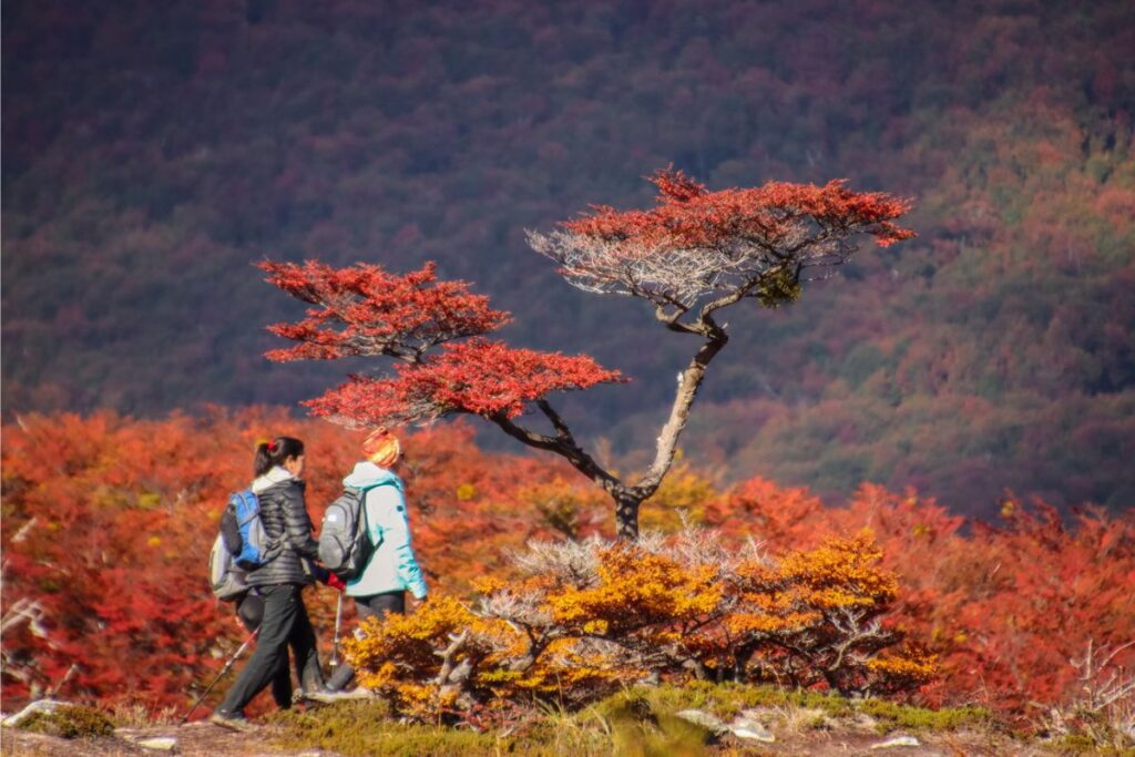 Hiking in Ushuaia: 8 Safety Tips for Trekking