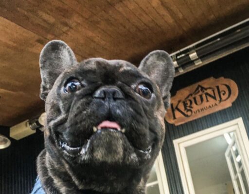 Krund Ushuaia: bar pet friendly en Ushuaia para comer y tomar algo con tu mascota