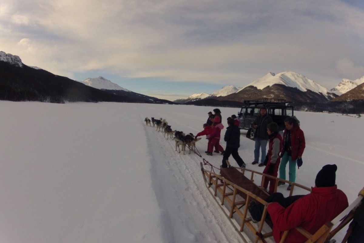 trineos en Ushuaia