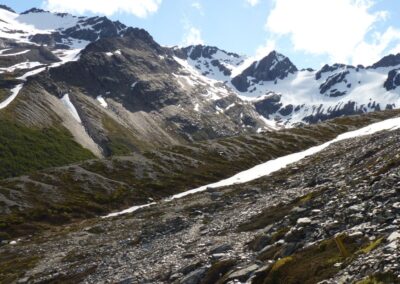 veranpo en el cerro martial