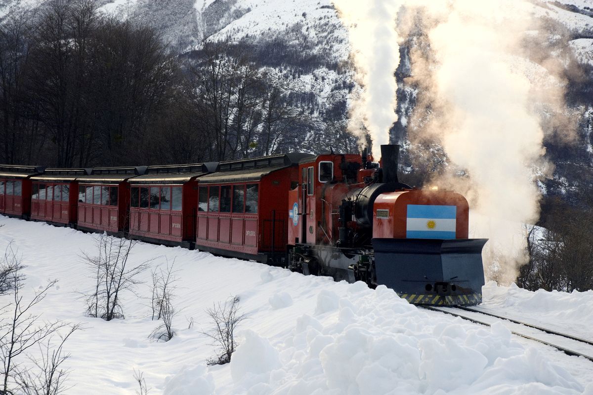 tren en invierno