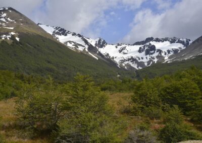 martial nevado mas verde