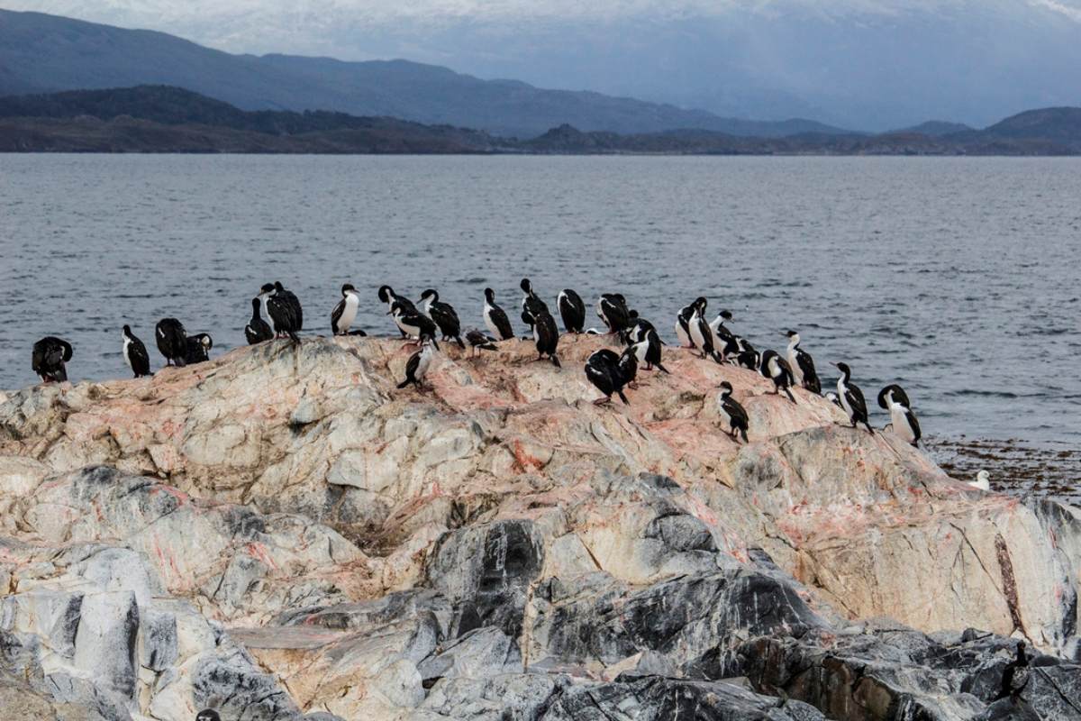 navegacion por el canal beagle 3