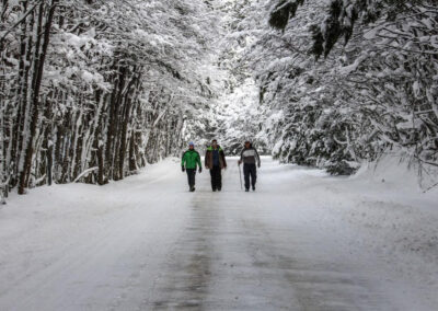 parque en invierno