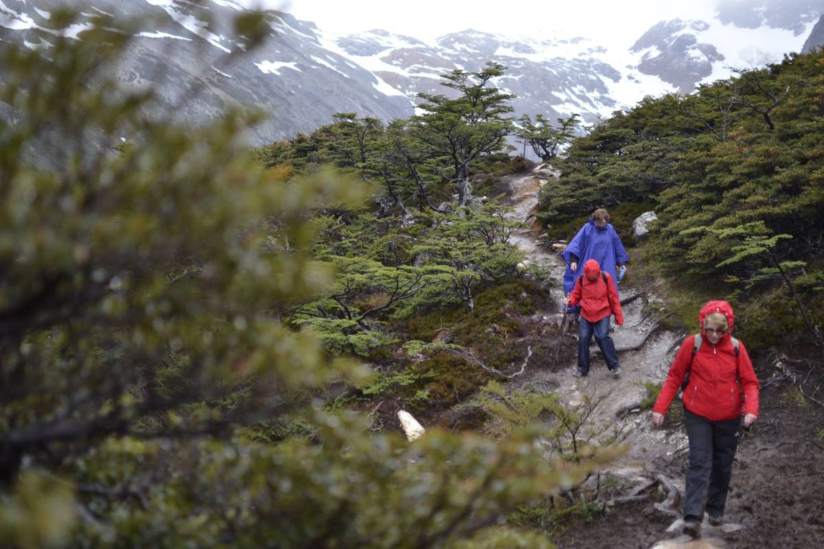 trekking laguna esmeralda ushuaia