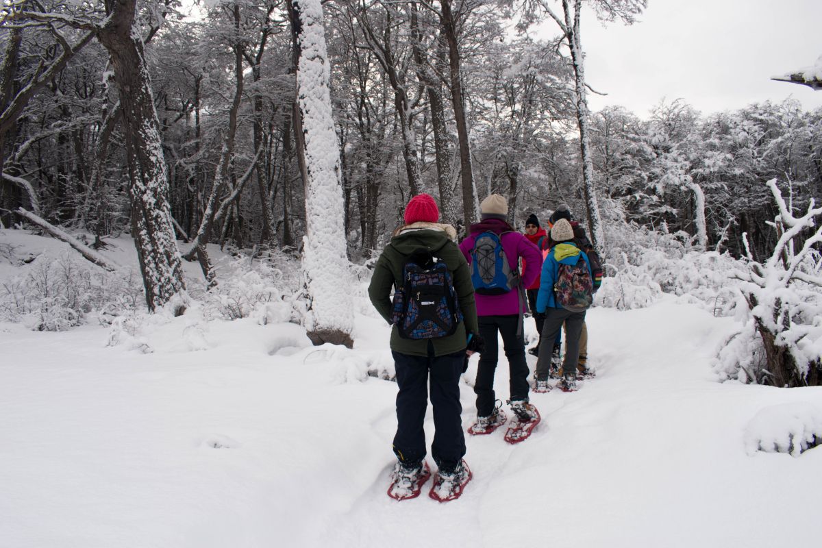 O que fazer em Ushuaia no inverno? atividades para desfrutar