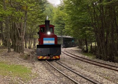 recorriendo el parque nacional en el tren