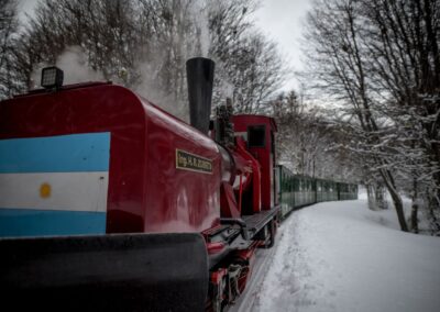 tren en invierno