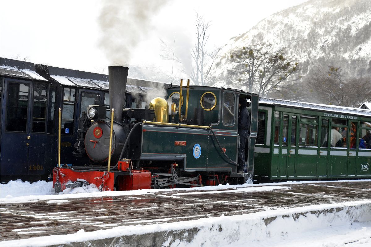 tren en invierno