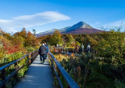Parque nacional otoño