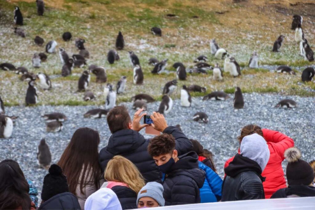Qué hacer en Ushuaia en noviembre