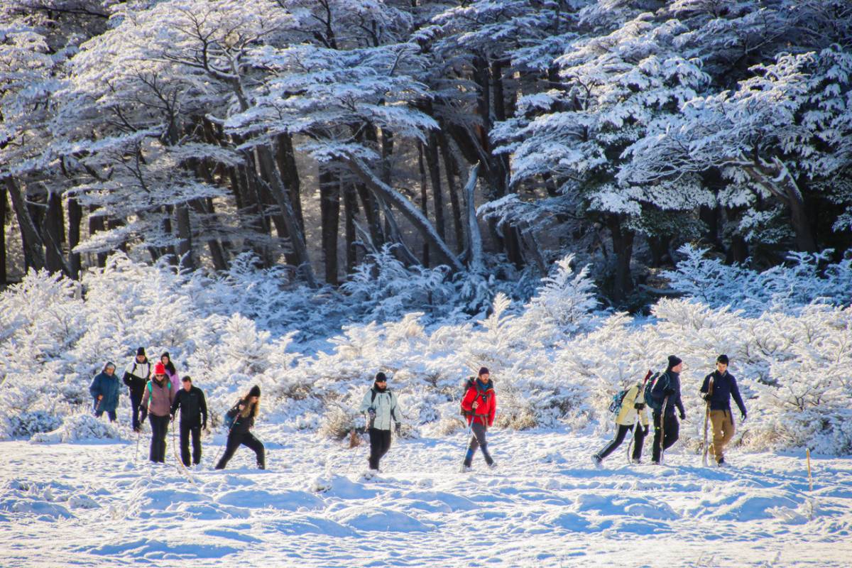 5 fotos invernales en Ushuaia para el 2024