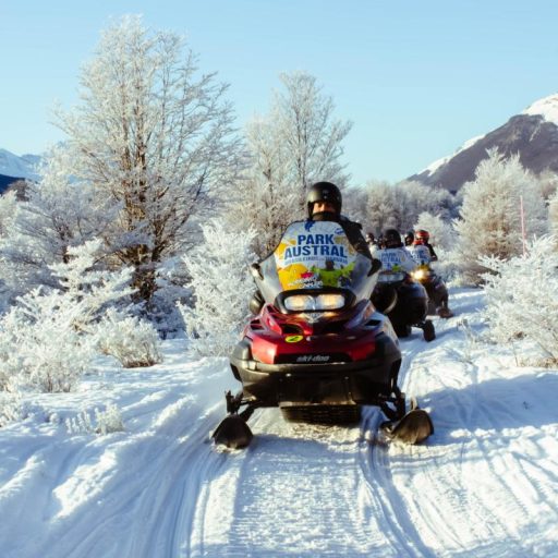 White Nights - Night excursion in winter center