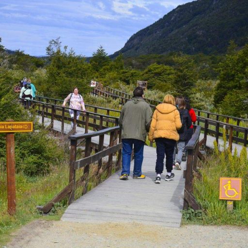paseando por el parque nacional en verano Ushuaia