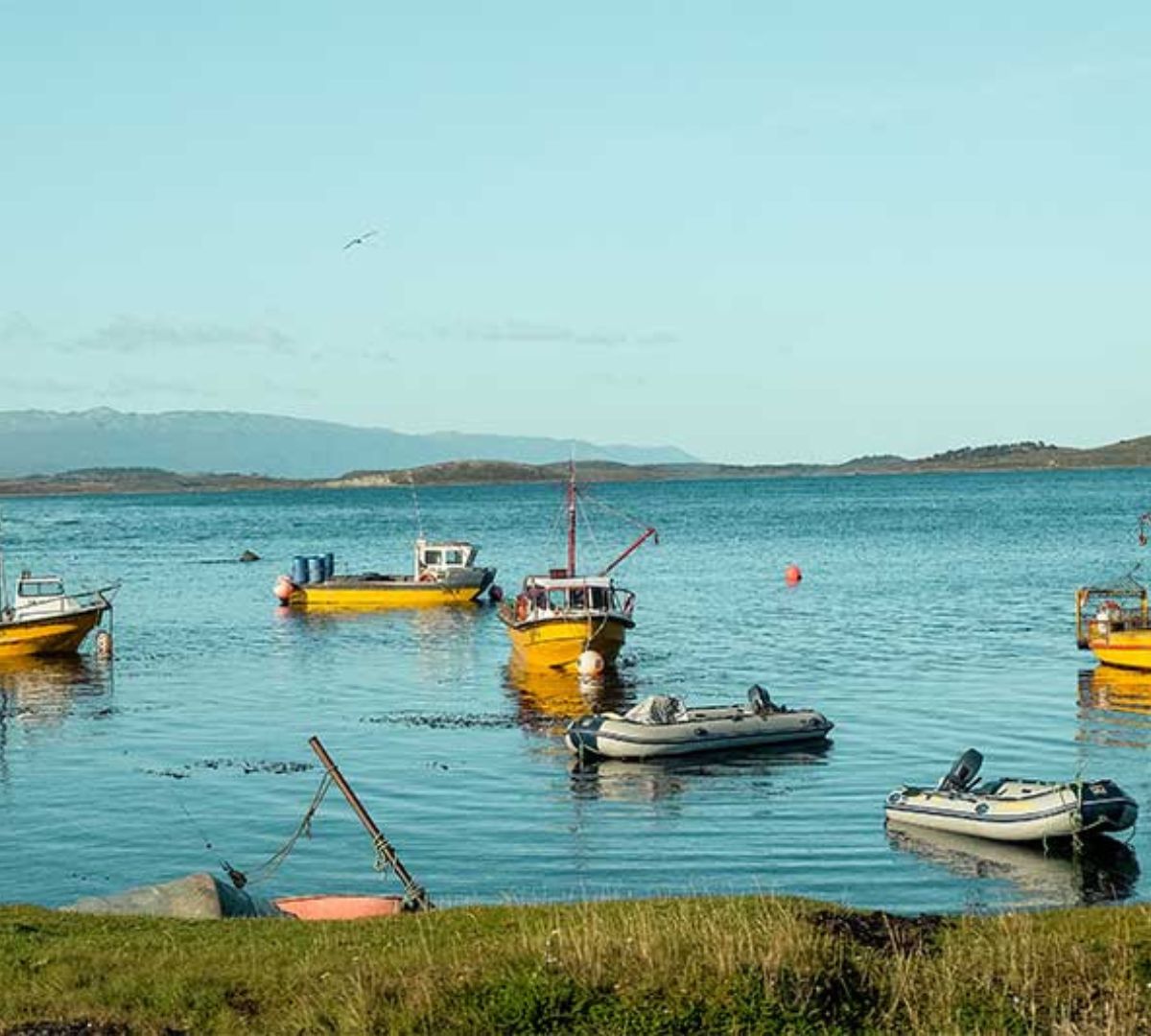 Imagen del puerto Almanza en Ushuaia