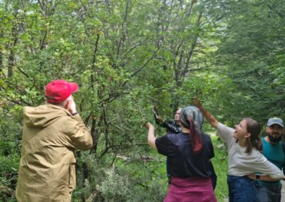 actividades en el parque nacional 