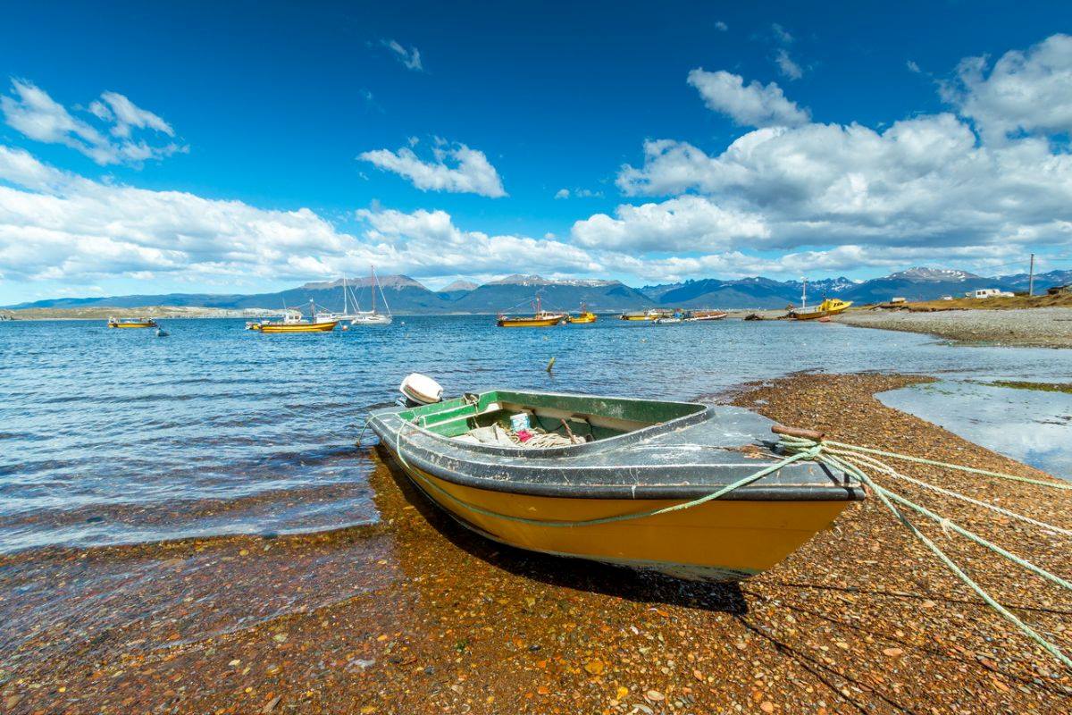 orilla del Canal beagle