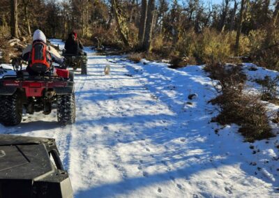 cautriciclo con nieve