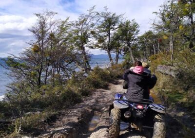 en el bosque en cuatriciclo