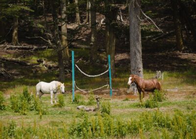 cabalgatas en la estancia la carmen