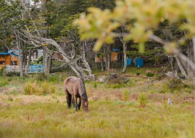 cabalgatas