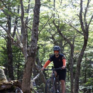 bosque y bicicletas