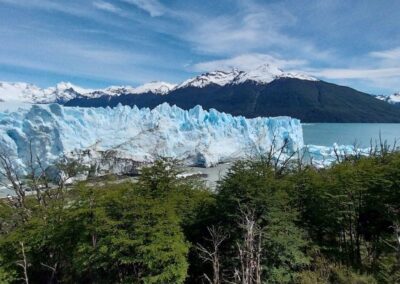 glaciar y arboles en calafate