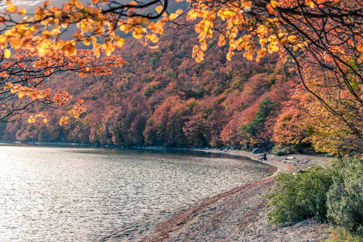 lago en otoño en Ushuaia