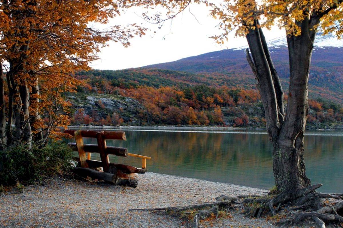 otoño en Ushuaia