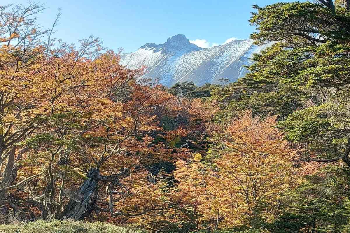 Qué visitar en Ushuaia en mayo