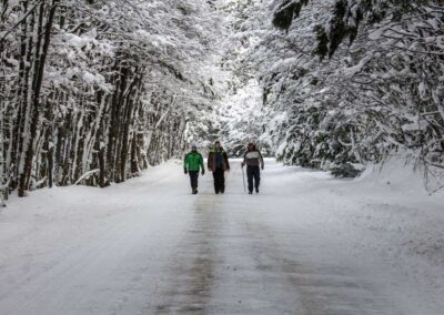 3 packs de invierno en Ushuaia