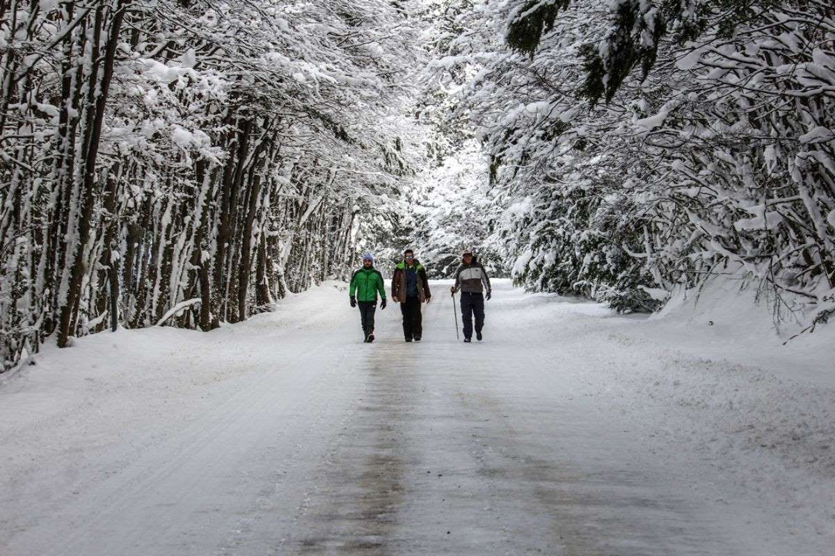 paisaje invernal parque nacional