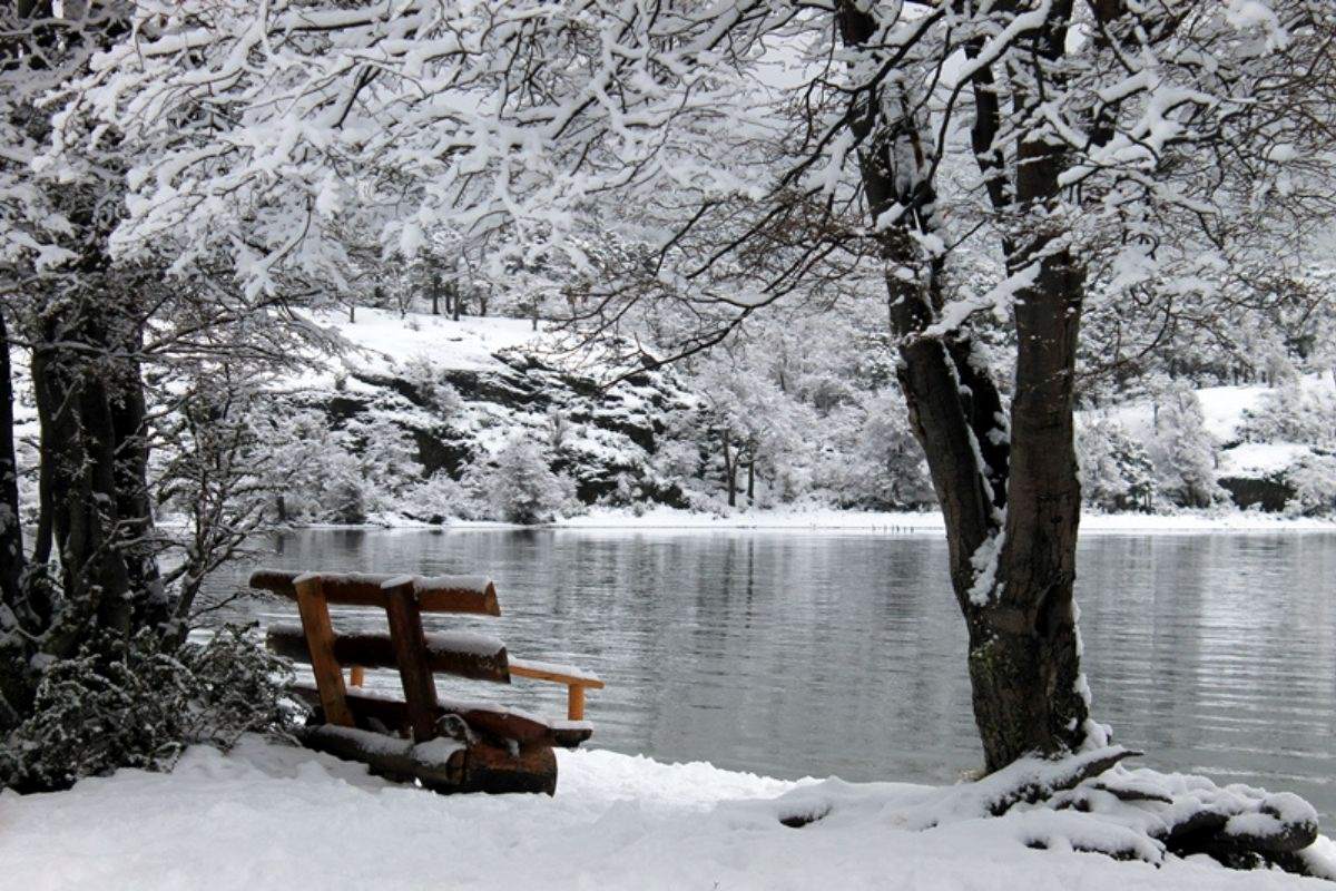 nieve en el parque