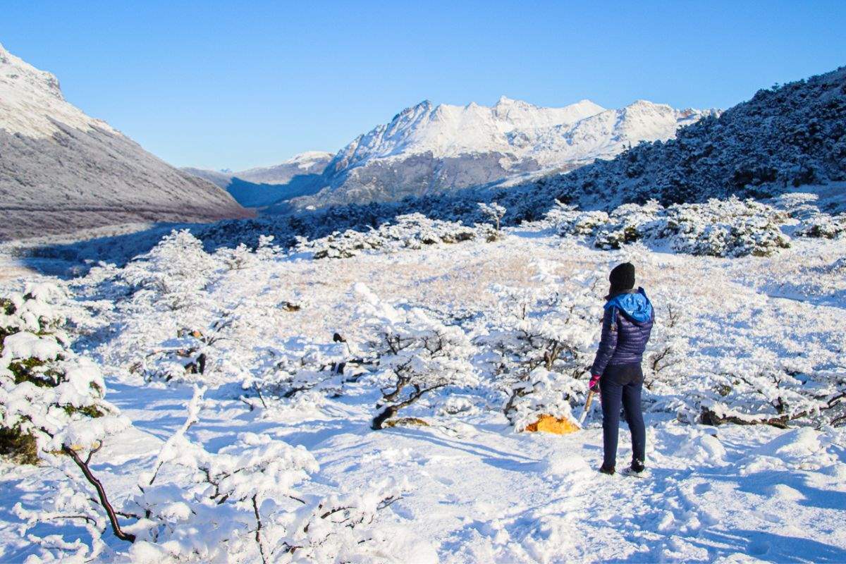 Explorando la naturaleza invernal en Ushuaia 2024