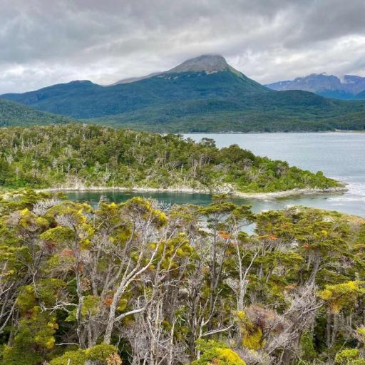 Parque y navegacion Isla Redonda 1