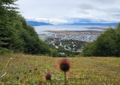 Paisajes y delicias en Ushuaia 4