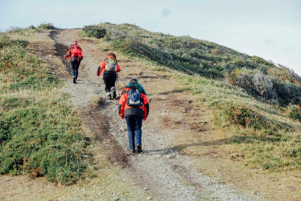 Trekking em Ushuaia para Todos os Níveis: Trilhas e Passeios