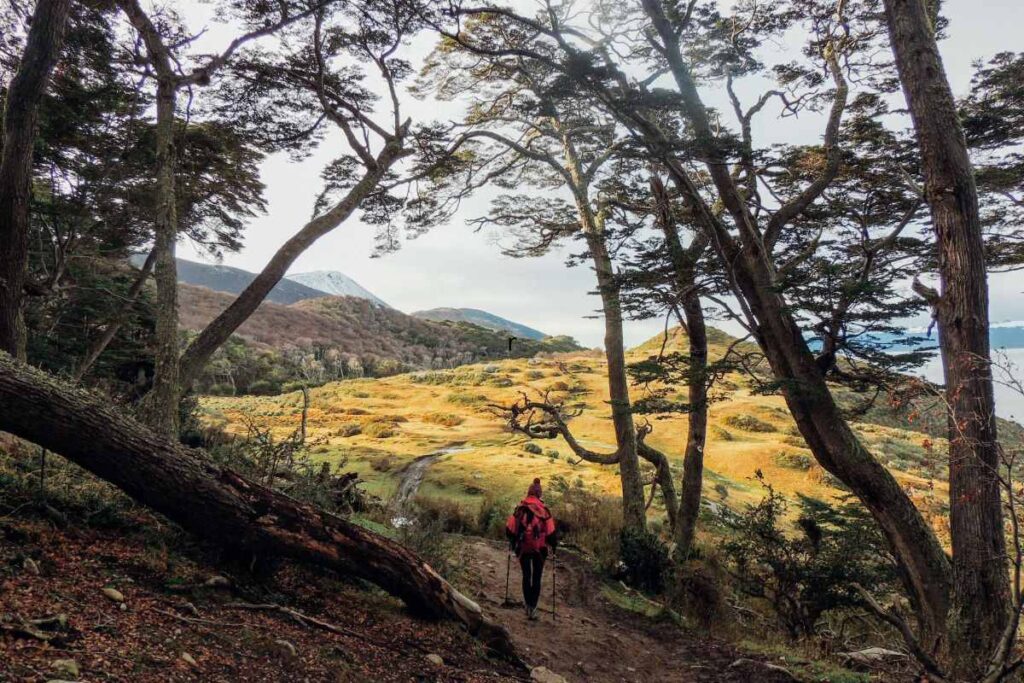 Five Tips for Planning a Spring Trip to Ushuaia