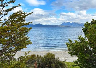 Paisajes y delicias 2