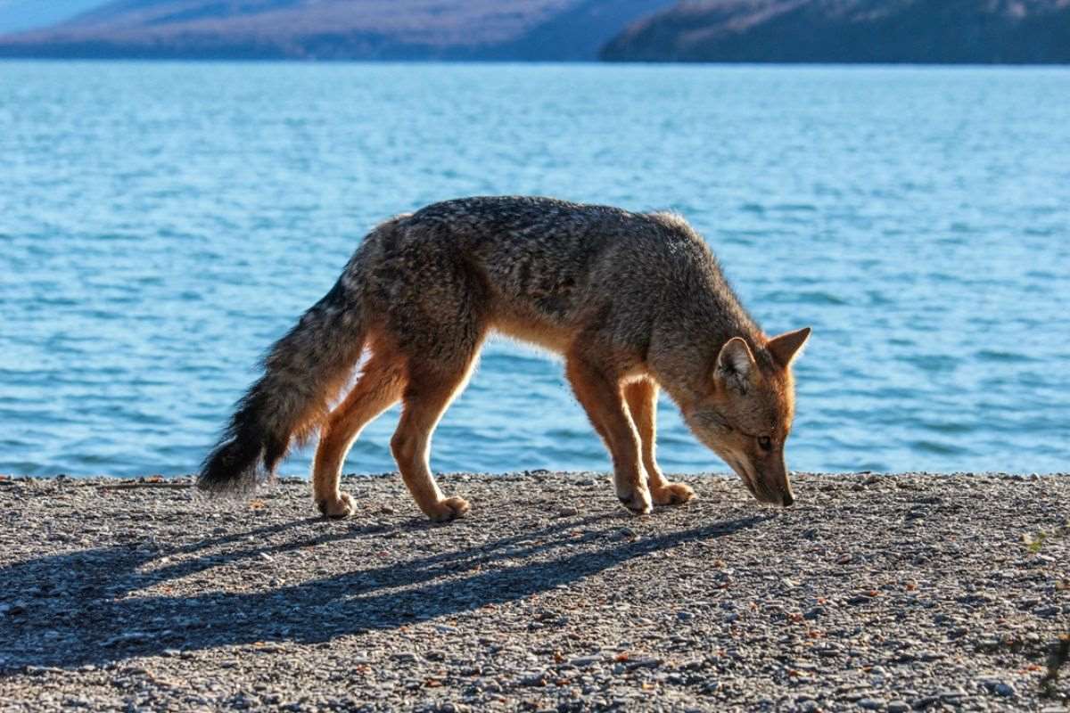 5 excusriones para disfrutar el verano en ushuaia 2