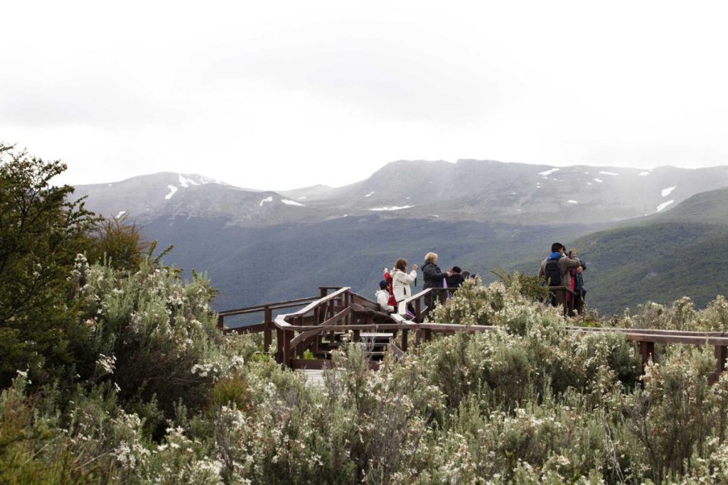 5 Excursões de Verão em Ushuaia: Pinguins, Canal Beagle e Lagos
