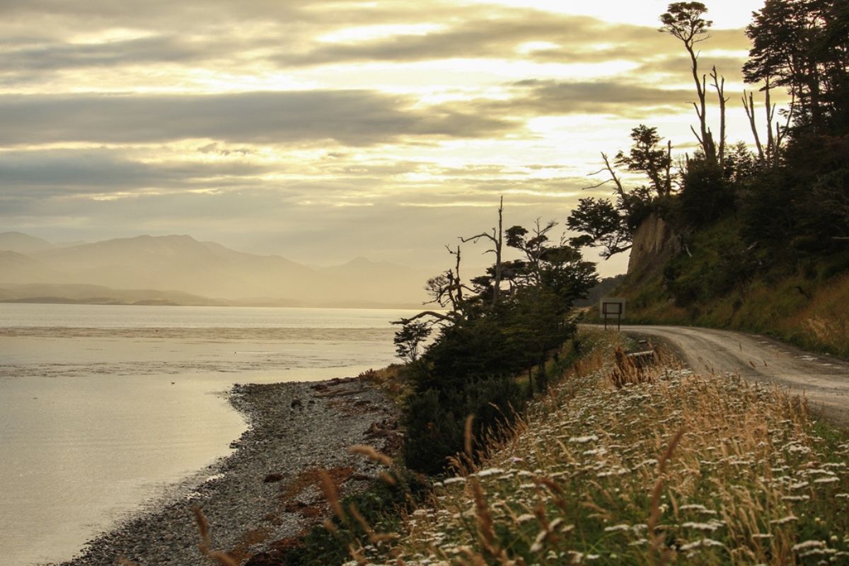 4 Paquetes de verano para Ushuaia 2025 1