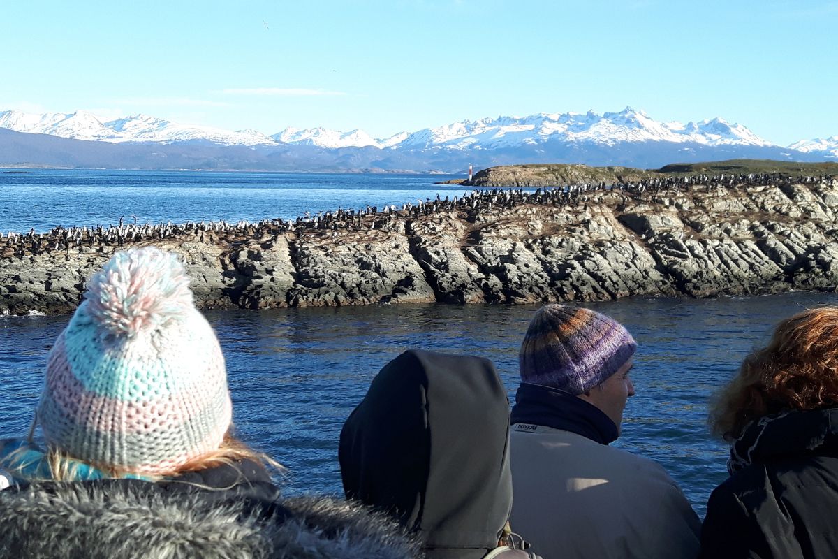 Personas desde el catamaran viendo fauna en el Canal Beagle