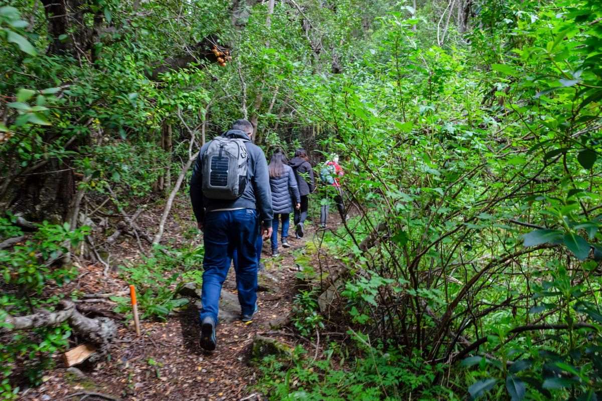 Isla redonda trekking en Ushuaia