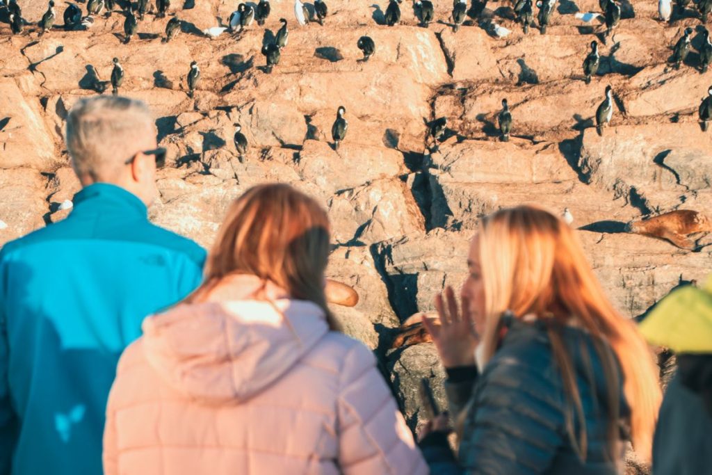 5 Escenarios de verano en Ushuaia