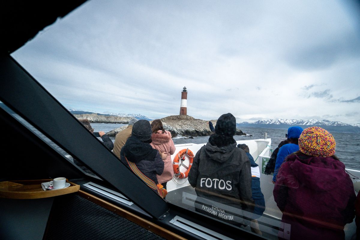 Por qué los pinguinos eligen Ushuaia en verano 2