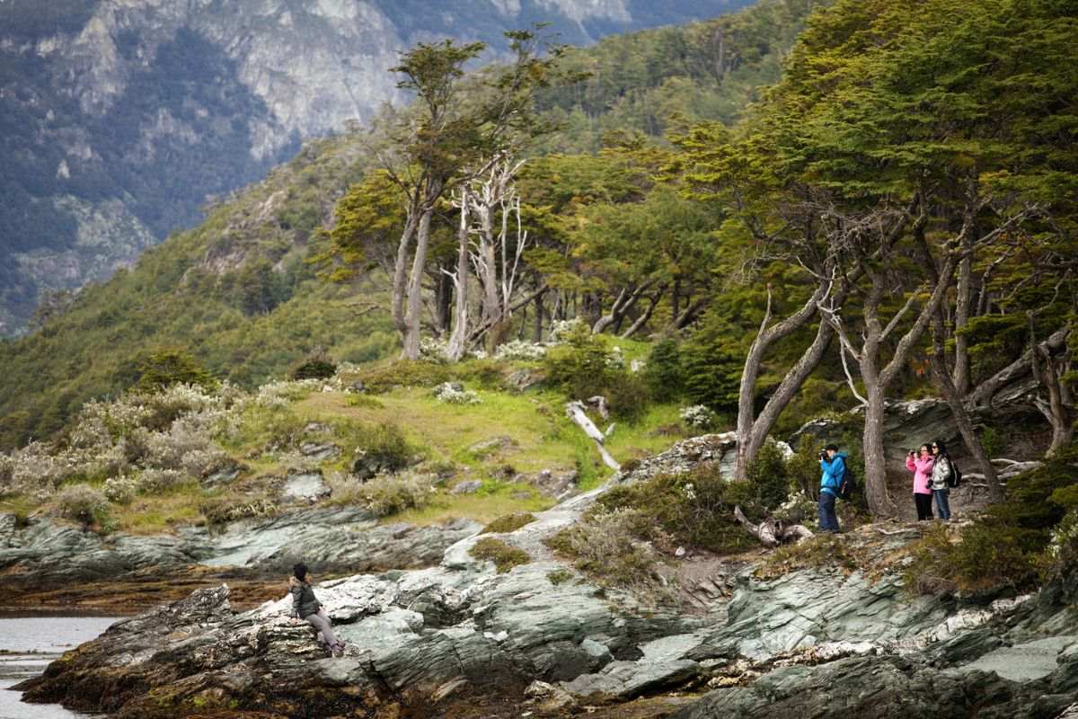 Persona haciendo trekking en el parque nacional ushuaia