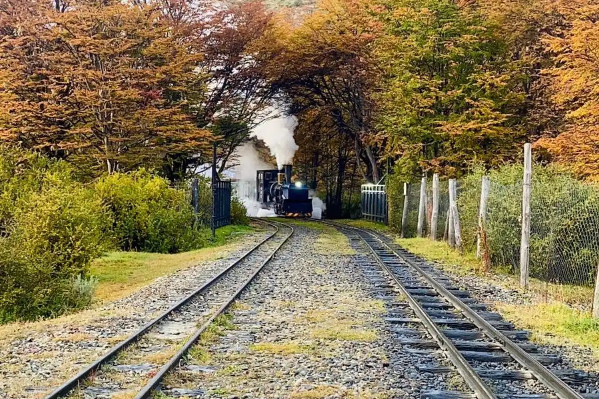Tren en otoño
