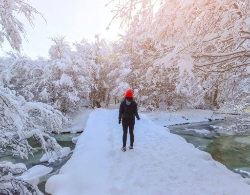 Descubrí por qué la nieve en Ushuaia es única