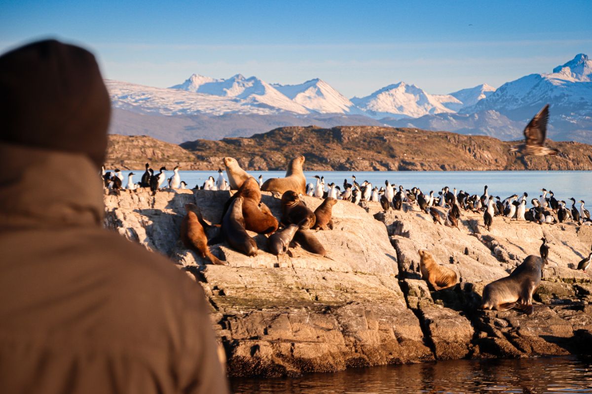 Canal Beagle Ushuaia